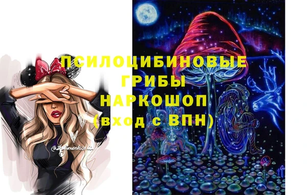 гашик Армянск