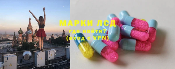 ПСИЛОЦИБИНОВЫЕ ГРИБЫ Аркадак
